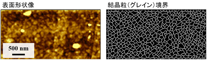 図4. 局所C-Vマッピング法と同時に取得された表面形状像（左）と画像解析によって抽出された結晶粒（グレイン）境界パターン（右）