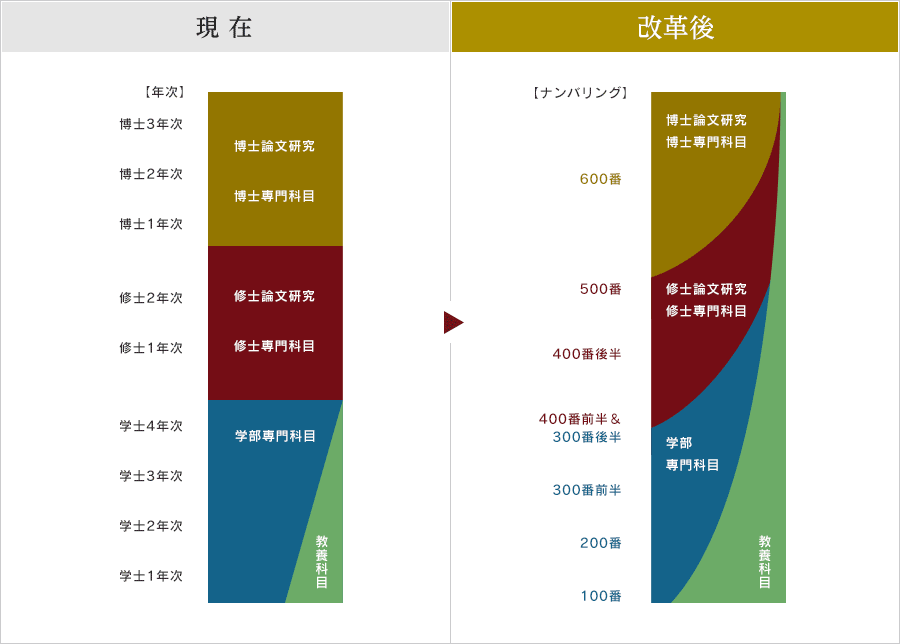 現在と改革後の教育カリキュラムイメージ