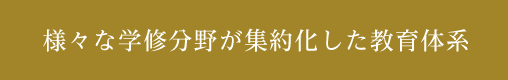 様々な学修分野が集約化した教育体系