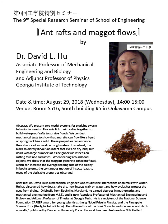 9th Special Research Seminar of School of Engineering "Ant rafts and maggot flows" Flyer