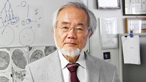 Honorary Professor Yoshinori Ohsumi receives 2016 Paul Janssen Award