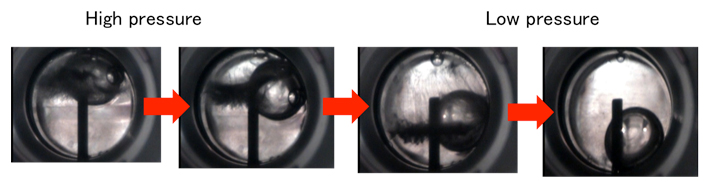 Liquid - liquid phase transition for water + hydrocarbon mixtures