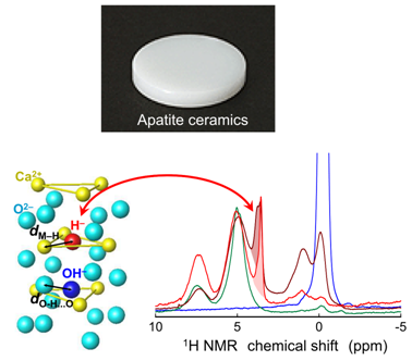 Localized structure incorporating apatite ceramics and H- ions.