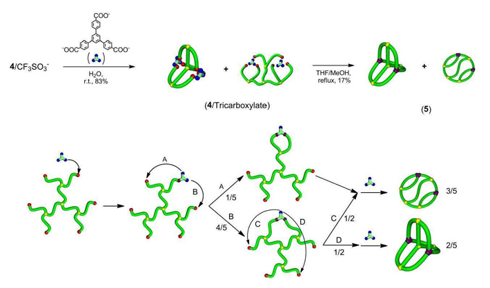 (top) The researchers developed a method combining electrostatic self-assembly and covalent fixation to construct two geometries of triply fused tetracyclic polymer labelled (5). The products were made from molecules with several branches and two negatively charged groups.(bottom) a scheme showing random combination of the end groups during covalent conversion to form the two types of triply fused tetracyclic polymer.