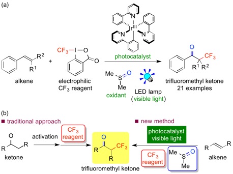 The results of the research (a): A comparison between the traditional approach and new method for oxidative trifluoromethylation of alkenes using photocatalysts (b)