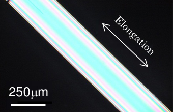 Fig. 1:	When the anisotropic glass undergoes heat treatment at around Tg, the long side shrinks up to 35%.