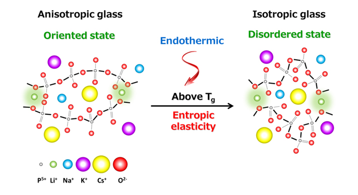 Fig.2: Model of anisotrpic glass and isotropic glass. 