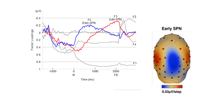 Left (Graph): SPN principal component analysis results Right: The activity of the occipital face area is illustrated by mapping early SPN on the brain surface.