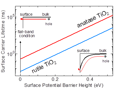 This shows how the surface carrier lifetime of anatase and rutile TiO2 is affected by the surface potential barrier. The graph above, where the line of anatase TiO2 is always higher than that of rutile TiO2, indicates that the carrier lifetime of the former is longer than that of the latter at the same magnitude of surface potential barrier.