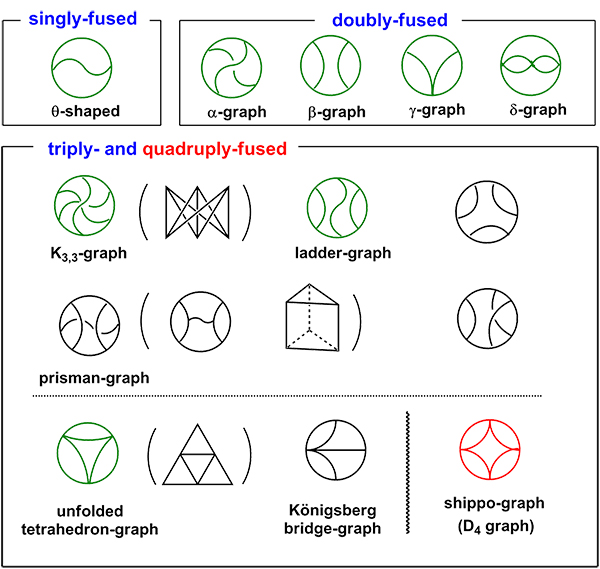 Graph presentation of fused- multicyclic polymer topologies.  Those in green are so far reported and in red are constructed in this work.