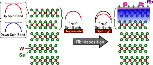 Schematic showing the "chemical gating" effect by the alkali metal (Rb) deposition on the surface of a WSe2 crystal: the formation of a monolayer electron gas with spin band splitting takes place.