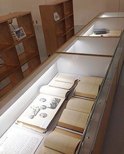 Well-bound notebooks on display