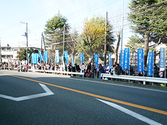 Tokyo Tech's blue banners line a street in the 8th section