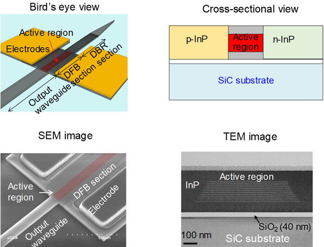 Figure 3. Schematic diagrams of device and SEM and TEM images of fabricated device.