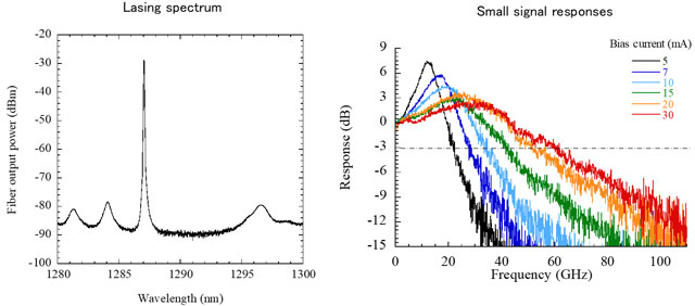 Figure 5. Lasing spectrum and small-signal responses of the device without reflection at the facet.