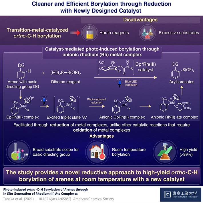 Cleaner and Efficient Borylation through Reduction with Newly Designed Catalyst