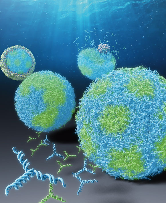 Figure 1 The DNA microcapsules with patterns made of sequence-designed DNA nanostructures. 