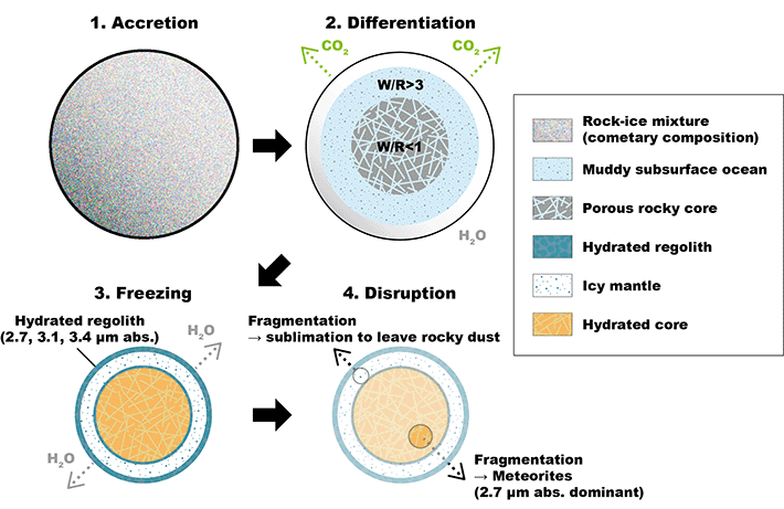 Figure 4 Formation and evolution of C-type asteroids. A scenario for the formation and evolution of C-type asteroids derived from this study. Credit: Reproduced from Kurokawa et al. 2022 AGU Advances