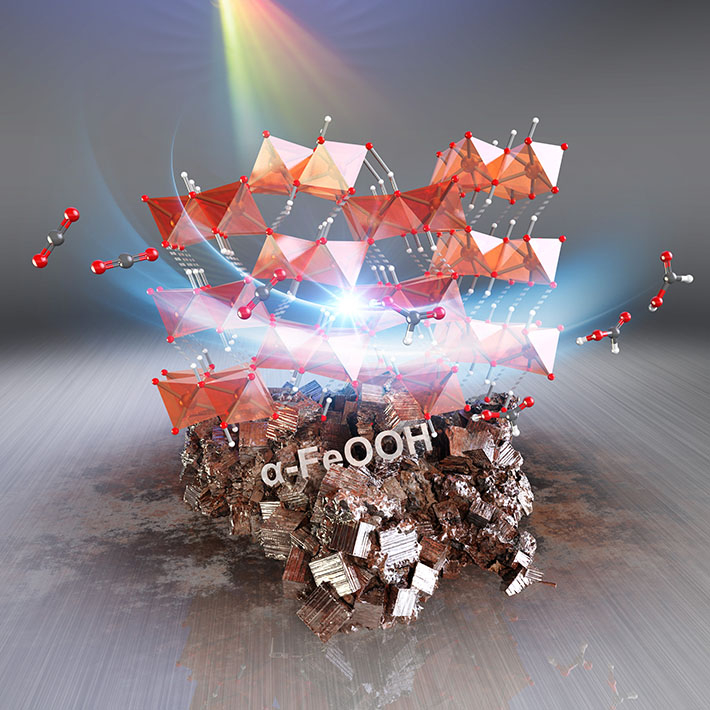 Carbon dioxide conversion into formic acid