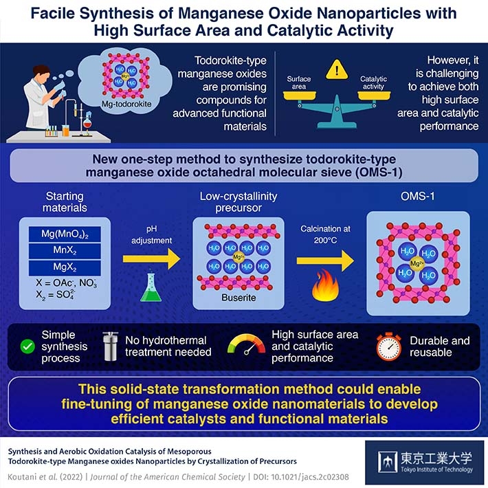 Facile Synthesis of Manganese Oxide Nanoparticles with High Surface Area and Catalytic Activity
