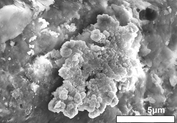 Figure 6. Crystals similar in shape to table corals found on the surface of the Ryugu sample (electron microscope image). The small, plate-like crystals are piled up to form the overall crystal. Credit: T. Nakamura et al. Science (2022)