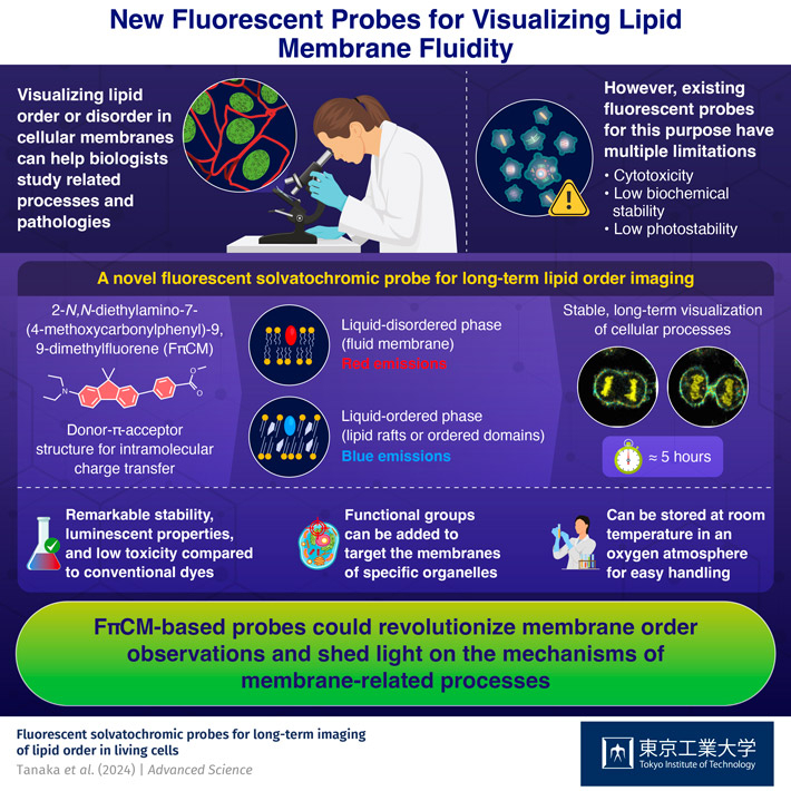 Progress in Fluorescent Dyes to Better Visualize Lipid Membrane Order in Live Cells