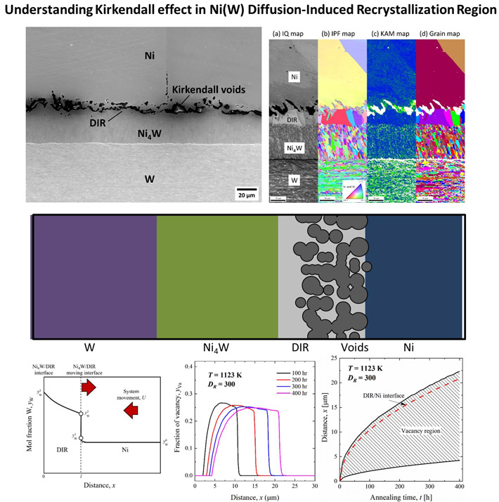 Figure 2 Understanding the Kirkendall effect in Ni (W) diffusion-induced recrystallization (DIC) region In the DIC region, W atoms diffuse into the Ni matrix via grain boundary diffusion.