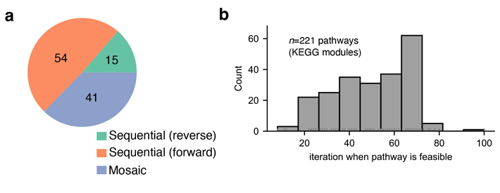 Figure 2 Timing the emergence of metabolic pathways. To construct a model of the evolutionary history of metabolism at the biosphere scale, the research team compiled a database of 12,262 biochemical reactions from the Kyoto Encyclopedia of Genes and Genomes (KEGG) database. Credits: Goldford, J.E., Nat Ecol Evol (2024)
