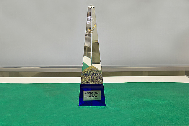 Special Award trophy