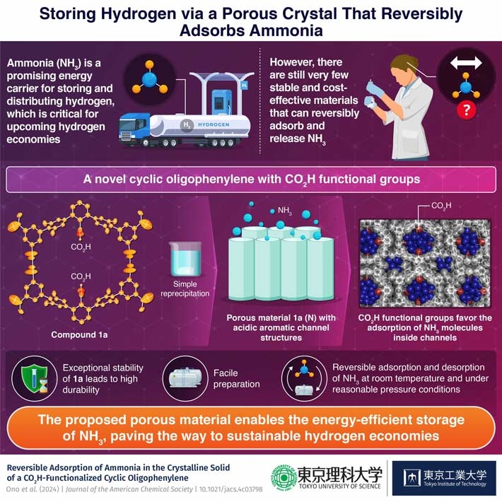 A Single-Molecule-Based Organic Porous Material with Great Potential for Efficient Ammonia Storage