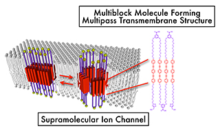 Figure 2: Supramolecular ion channel mimicking membrane proteins