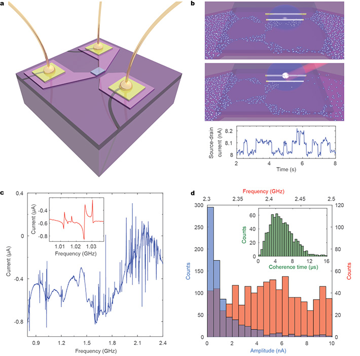 (a) Schematic representation of the FET device used in this work. (b) Schematic diagram of the interaction between the trapped electron and the percolation pathways mediated by the MW field (top). Multilevel RTN events recorded in the FET current measured at 80 K (bottom). (c) Wideband CW microwave spectroscopy of the FET channel current performed at 4.2 K. Each narrow spike is a separate resonance that is resolved into a Fano or Lorentzian shape at higher resolution (inset). (d) Density of states (red), amplitude change (blue) and coherence times (inset) histograms.