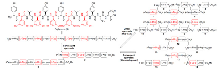 Comparison of synthetic strategies toward the total synthesis of feglymycin (1). Linear/convergent approach highlighted in this work and the convergent approached previously described by Süssmuth in 2009.