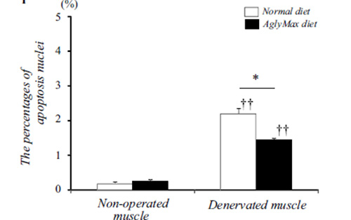 Figure 2. Comparison of muscle cell death