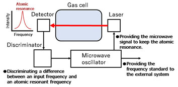 Module-Sized Atomic Clock