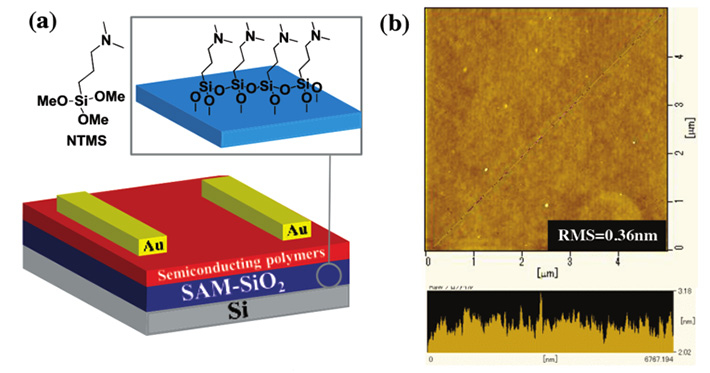 Figure 2. Layers of the thin-film transistors. (a) Structure of the thin-film transistors with the proposed SAM layer and polymers. (b) Atomic force microscopy image of the SAM layer, demonstrating its smoothness.