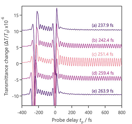 Amplitude control of phonon oscillation in diamond