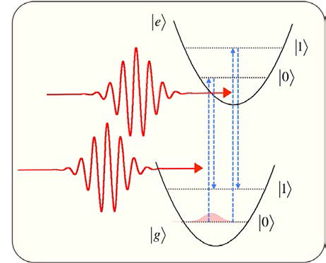 Schematic of coherent control of optical phonons