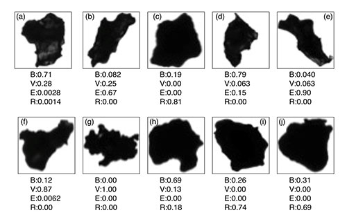 Results of the Convoluted Neural Network. The ash particles have been assigned a probability ratio for each of the four basal shapes: Blocky (B), Vesicular (V), Elongated (E), and Rounded (R).