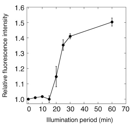 Figure 1. Monitoring of photosynthetic oxygen production in cyanobacteria using ANA sensor