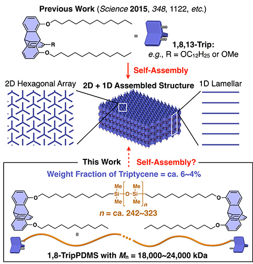 Self-assembling 2D+1D polymer structures