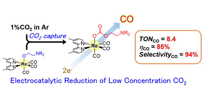 Figure 2. Representation of the electrocatalytic reduction system