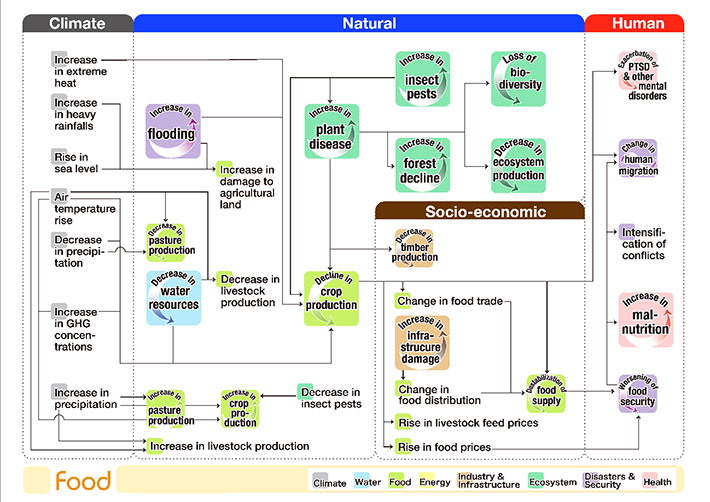 Flowchart of climate risk interconnections related to the food sector