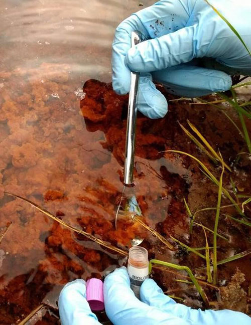 Donato Giovannelli collecting microbial samples in a hot spring in Costa Rica. Credit: Tom Owens