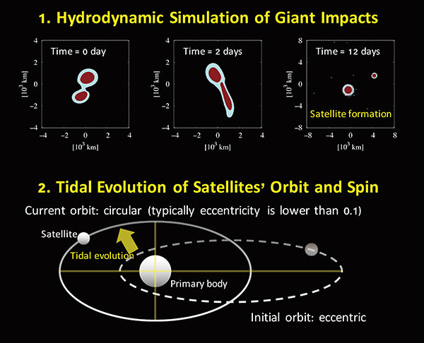 Formation of satellite(s) via a giant impact (top panels) and its orbital evolution via tidal interaction (bottom panel). Top panels show snapshots for the satellite-forming giant impact with about 1 km/s of the impact velocity and 75 degree of the impact angle. Bottom panel shows the schematic view for the circularization of the satellite's orbit due to tidal interaction after satellite formation. Credit: Arakawa et al. (2019) Nature Astronomy
