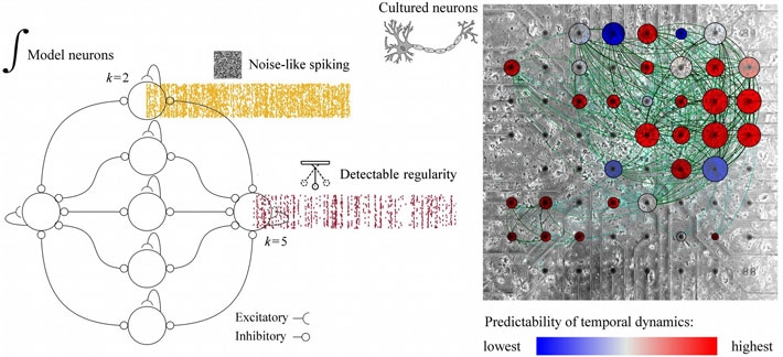 Figure 3. Regularity emerging out of noise