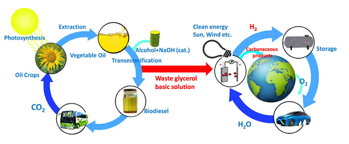 Figure 1. Sustainable biodiesel and hydrogen energy cycles