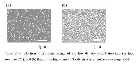 Figure 2 /></p>
<p class=