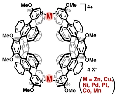 Chemical structure of molecular nanocapsules