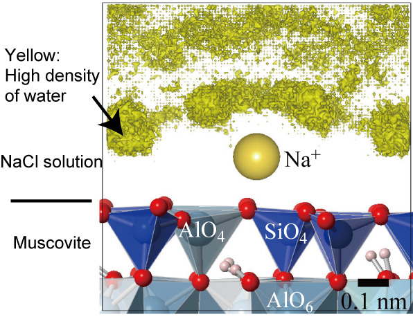 Side view of the isodensity surface of water molecules around Na+ ions adsorbed on a mica surface calculated by molecular dynamics simulations.